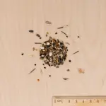 Pour nos animaux - Coin des Oiseaux - 25 M² - Mélange de fleurs - MEDIA_3D